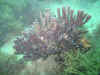 872-7293_IMG.JPG (182010 bytes)