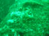IMG_8459.jpg (255988 bytes)