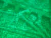 IMG_8468.jpg (172809 bytes)