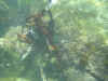 IMG_8568.jpg (368050 bytes)
